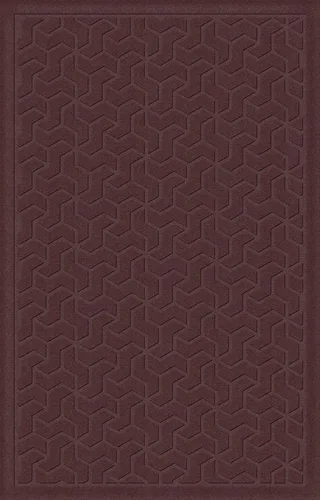 Vista 8 de American Floor Mats Windmill Designer Bluestone - Tapete de entrada de 2 x 3 pies con respaldo de agarre Piedra azul