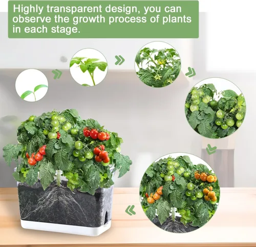 Vista 5 de Oliz Macetas de autorriego – Paquete de 4 macetas rectangulares transparentes con agujeros de drenaje para plantas