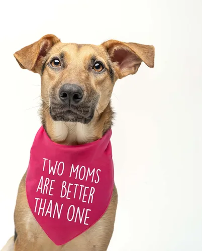Vista 2 de Two Moms are Better Than One - Bandana para perro para el día de la madre, triángulo ajustable 100% algodón, fabricada en Estados Unidos, Día