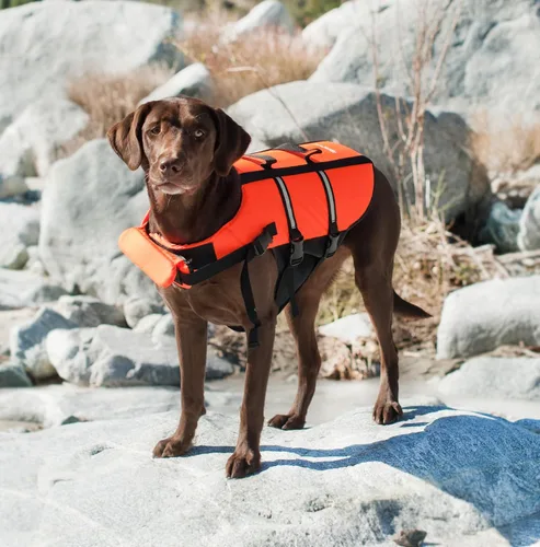 Vista 3 de ZippyPaws - Chaleco salvavidas para perros Adventure, chaleco salvavidas para perros para nadar y navegar, se ajusta a mascotas pequeñas
