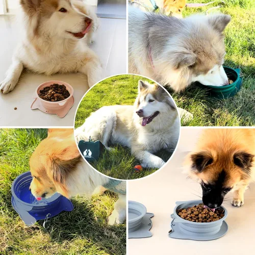 Vista 5 de RUNROLE Cuencos plegables de silicona 2 en 1 para viaje, se juntan y usan por separado, cuencos portátiles para agua y alimentos para mascotas, Rosa
