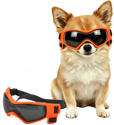 Vista 14 de Antiparras anteojos de sol para gatos o perros pequeños, Negro Negro clásico