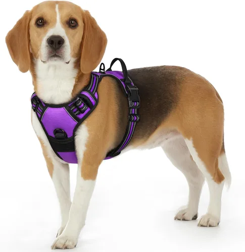 Vista 75 de Eagloo Arnés para perro pequeño, sin tirones, chaleco de servicio con tiras reflectantes y asa de control, ajustable y cómodo para caminar, arnés