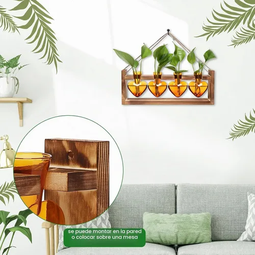 Vista 3 de Estaciones de propagación de plantas, kit de terrario de plantas de corazón, regalo para mujeres, amantes de las plantas, jarrones de vidrio Ámbar