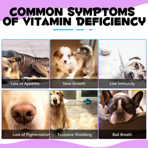 Vista 15 de Gotas multivitamínicas 15 en 1 para perros, gotas multivitamínicas líquidas