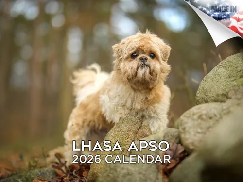 Vista 176 de Calendario de Lebrel Afgano 2025 2026, calendario mensual de pared de raza canina, 12" x 18" abierto, papel grueso sin traspaso, ideal para regalo