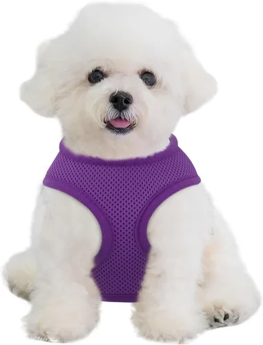 Vista 11 de MoNiBloom Arnés para perro de tamaño pequeño, chaleco acolchado suave para cachorros para caminar, correr, entrenar - negro, XS