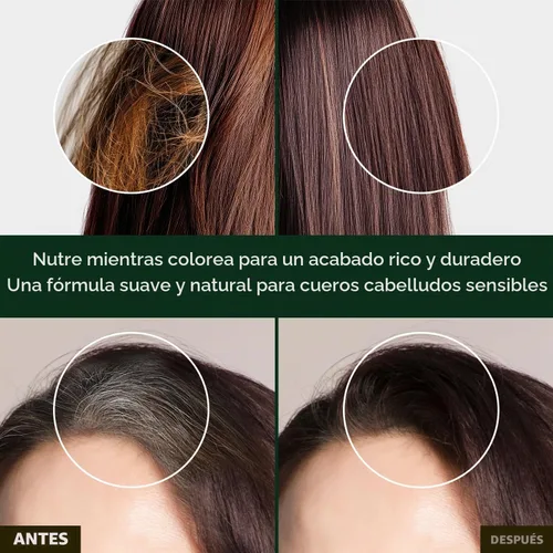 Vista 3 de Herb Speedy Color Cream (negro natural, 1 paquete) - Tinte vegano de hierbas coreanas para el cabello