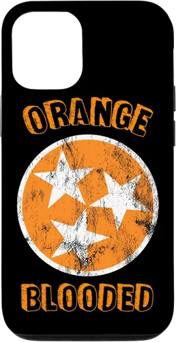 Vista 28 de Tennessee Fan Orange Blooded Vol Sports Fan State Flag TN Case for iPhone 17