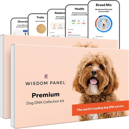Vista 9 de Wisdom Panel Premium Kit de ADN para perros: más completo con más de 265 pruebas de salud, identifica más de 365 razas de perros, más de 50 rasgos