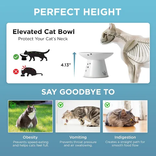 Vista 6 de Tazón elevado de comida para gatos Necoichi – Tazón elevado de cerámica para gatos para fatiga de bigotes y cuello, apto para lavavajillas