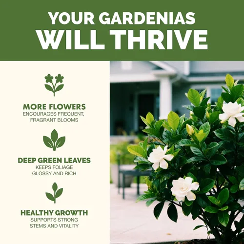 Vista 2 de Fertilizante Gardenia: alimento líquido para plantas para más flores, hojas verdes ricas y desarrollo de raíces más fuerte, 8 onzas