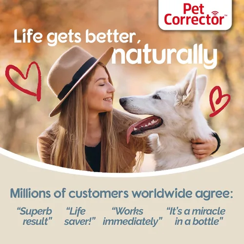 Vista 6 de Corrector para perros The Company of Animals (paquete de 4), 50ml