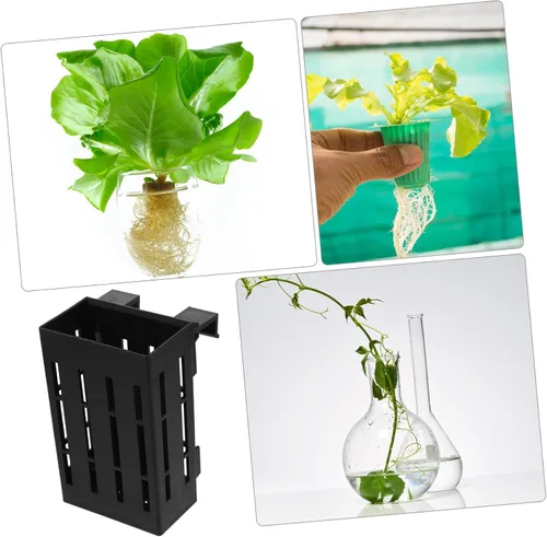 Vista 3 de Ipetboom Soporte colgante para plantas de acuario, 4 piezas, maceta acuática con gancho, plantas acuáticas para acuario, plantas de agua