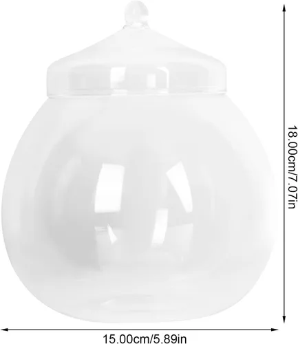 Vista 3 de Angoily Terrario de vidrio, tarros grandes transparentes con tapa, florero de terrario para plantas