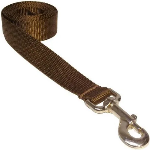 Vista 20 de Correa de nailon rojo mediano para perro: 3/4" de ancho, 6 pies de longitud - fabricada en Estados Unidos.