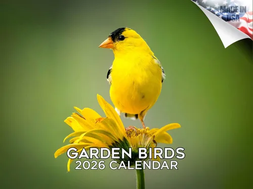 Vista 48 de Calendario de grises africanos 2025 2026 – Planificador mensual de pared de aves africanas – 12 x 18 pulgadas (abierto), calendario de pared