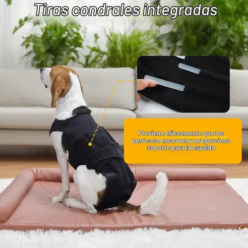 Vista 5 de Soporte de espalda para perros pequeños, soporte ajustable de estabilidad espinal con 5 tiras de plástico flexibles, cómodo para perros pequeños