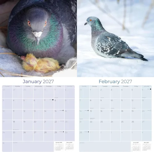 Vista 303 de Calendario de grises africanos 2025 2026 – Planificador mensual de pared de aves africanas – 12 x 18 pulgadas (abierto), calendario de pared