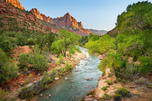 Vista 2 de Laminado The Watchman Sunset Zion Parque Nacional Utah Fotografía de montaña Naturaleza Paisaje escénico Paisaje Parques Imagen América Árboles