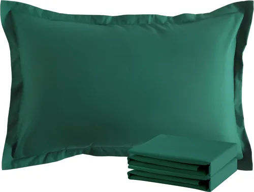 Vista 125 de NTBAY Fundas de almohada estándar, paquete de 2 fundas de almohada de microfibra cepillada de 20 x 26 pulgadas, súper suaves y acogedoras