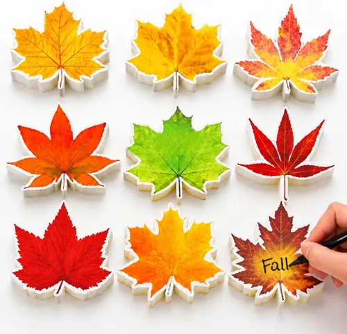 Vista 10 de Ferraycle - 135 piezas de decoración de tablón de anuncios de otoño