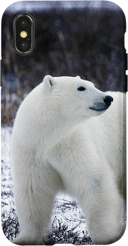 Vista 5 de Polar Bears Animal Nature Case for iPhone 17
