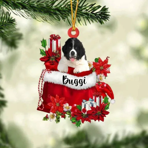 Vista 197 de Perro Akita Inu personalizado en bolsa de regalo, adorno de Navidad, nombre personalizado, regalo para amantes de los perros, familia, Navidad