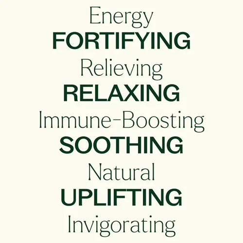 Vista 8 de Plant Therapy Juego sinergias de 6 mejores aceites esenciales. Incluye: desestresante, energía, contra los gérmenes, relajación, ayuda inmunológica