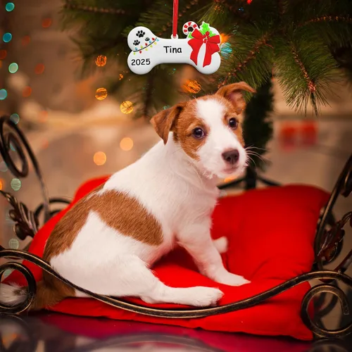 Vista 7 de Adorno de Navidad de Hueso de Perro 2025 Personalizado Decoración Colgante para Cachorros Perros Personalizada Manuscrita Primer Regalo Colgante