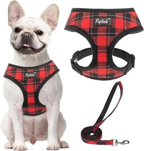 Vista 62 de PUPTECK Juego de arnés y correa de malla suave para perro, cachorro y gato, cómodo chaleco acolchado sin tirones, azul Pascua, S