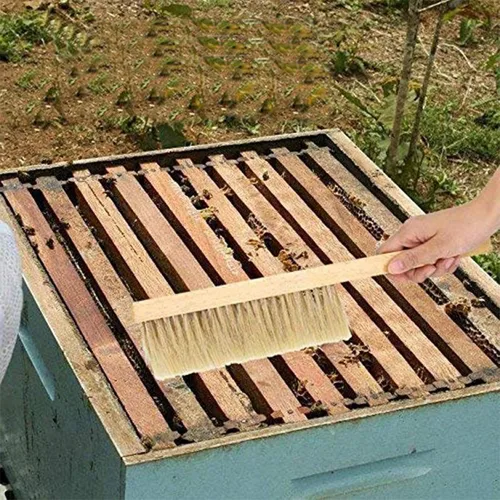Vista 5 de ZffXH Paquete de 2 cepillos de abeja para apicultores, mango de madera, cepillo de abeja natural de crin de caballo, suministros de colmena,