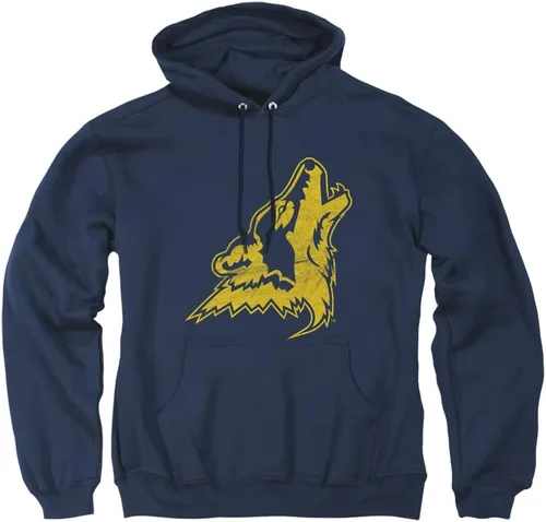 Vista 124 de Distressed College Primary Logo Adult Pullover Hoodie Collection 1 Universidad Estatal de Albany