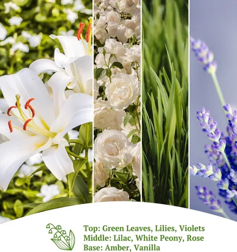 Vista 4 de Velas CHAMBERY Primavera en Flor Vista del Campo de Nueva Inglaterra Fragancia Floral Ligera Perfecta para Primavera Ideal para Regalo del Día