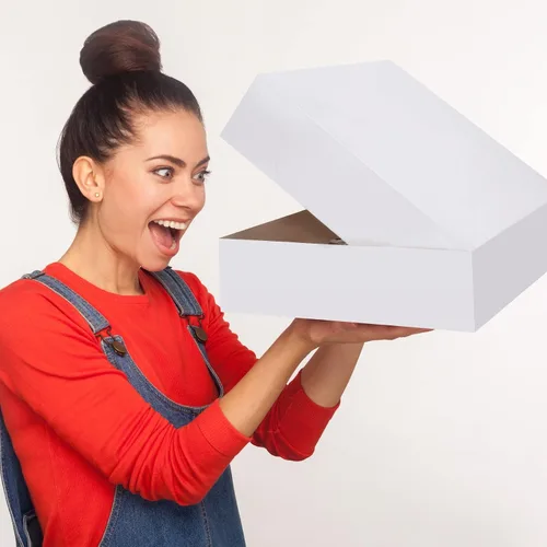 Vista 6 de Tudomro Paquete de 10 cajas para pasteles de 19 x 14 x 4 pulgadas, cajas de cartón para tartas, cajas rectangulares grandes, papel kraft sin ventana
