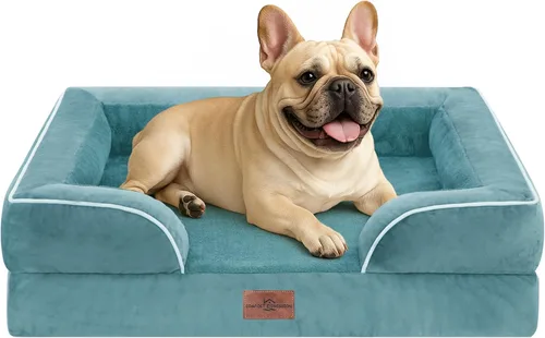 Vista 102 de Comfort Expression - Cama ortopédica para perros medianos, 28 x 19 pulgadas, cama impermeable y de apoyo de espuma con cojines removibles, sofá