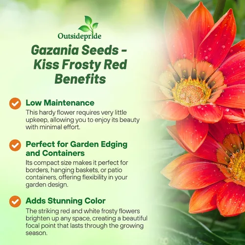Vista 3 de Outsidepride Gazania Kiss - Plantas de jardín tolerantes al calor y a la sequía, color rojo escarchado, 25 semillas