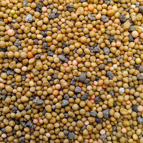Vista 2 de Fertilizante de higos de violín – espectro completo + micro nutrientes – Alimentos de liberación lenta durante 8 meses – La bolsa es más de un año