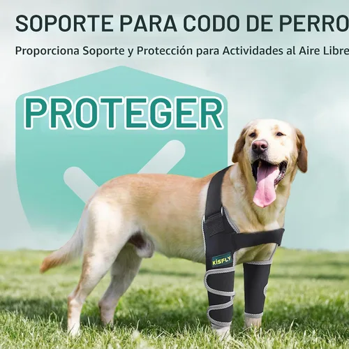 Vista 7 de Codera para perros grandes, protección contra callos de la pierna