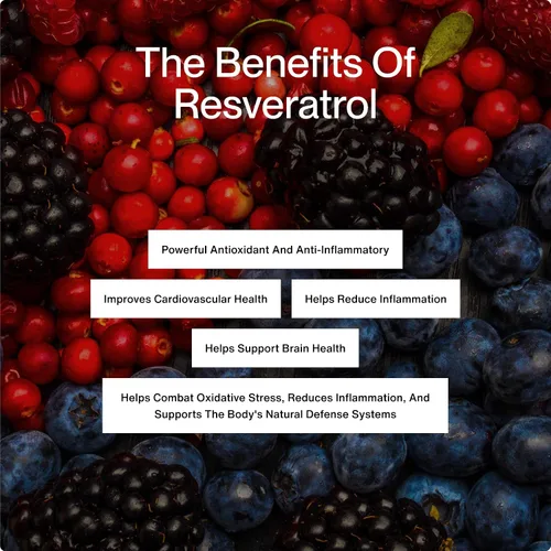Vista 3 de Momentous Suplemento de resveratrol 450 mg - Trans-resveratrol para un envejecimiento saludable, cerebro y apoyo cardíaco - Certificado NSF