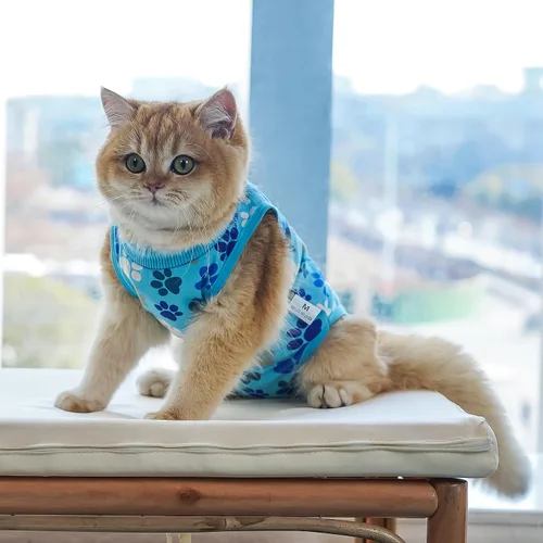 Vista 6 de Traje de recuperación para gatos: Traje de poscirugía azul suave para gatos con diseño de huella de pata - Traje de recuperación elástico