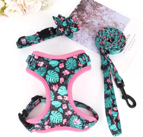 Vista 6 de Beirui Collares, arneses y correas lindas para perritas, juego de collar y correa ajustable con flores - Chaleco de malla suave para perritos y Verde