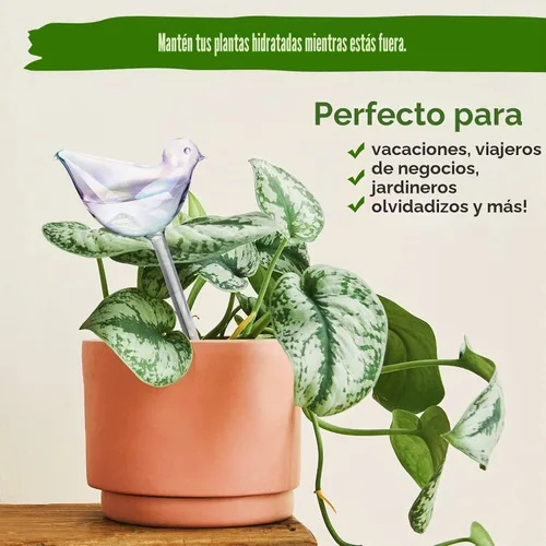 Vista 5 de NiHome Bombillas de vidrio con autorriego para plantas, paquete de 3 unidades, perlas iridiscentes, macetas para el hogar, para macetas para regar