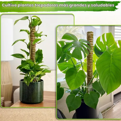Vista 3 de DUSPRO Poste de musgo de malla apilable para plantas trepadoras, soporte de enredadera Monstera, para plantas de interior, palo extensible para 2
