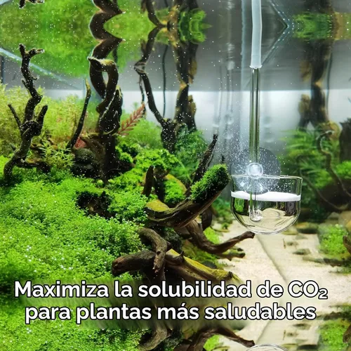 Vista 3 de Difusor de CO2 de vidrio musical para plantas de acuario (2 pulgadas para tanque más allá de 75 galones)