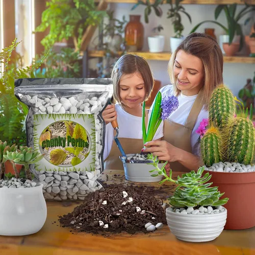 Vista 5 de Doter Perlita gruesa orgánica para plantas (0.4 a 0.8 pulgadas de diámetro), mezcla de acondicionador de aditivo natural para suelos