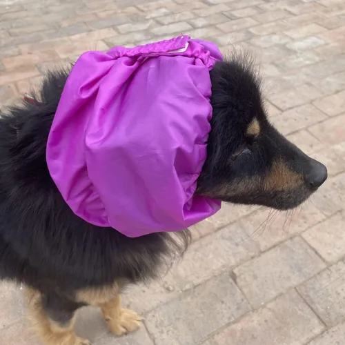 Vista 5 de Paquete de 2 gorros de baño para perros, impermeables, para lavar, llover, natación, protección para prevención de oídos (S)