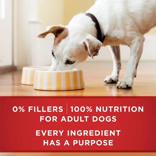 Vista 9 de Purina ONE - Paté natural, Paquete variado de comida húmeda enlatada para perros, SmartBlend Chicken Entree & Beef Entree - (6) latas de 13 oz.