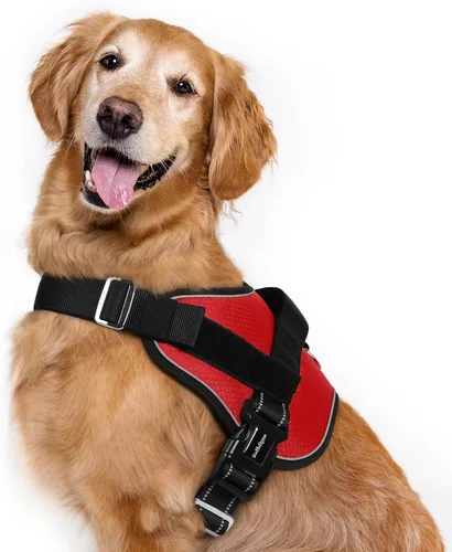 Vista 14 de rabbitgoo Arnés para perro pequeño, chaleco fácil de poner para mascotas con una hebilla, arnés de servicio ajustable sin tirones con anillo en D