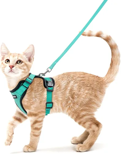 Vista 67 de rabbitgoo Cat Harness and Leash Set, Escape Proof Vest, XXS, Berry Pounce Soft Breathable Mesh, No-choke Adjustable Fit, Snap Buckles, Sturdy